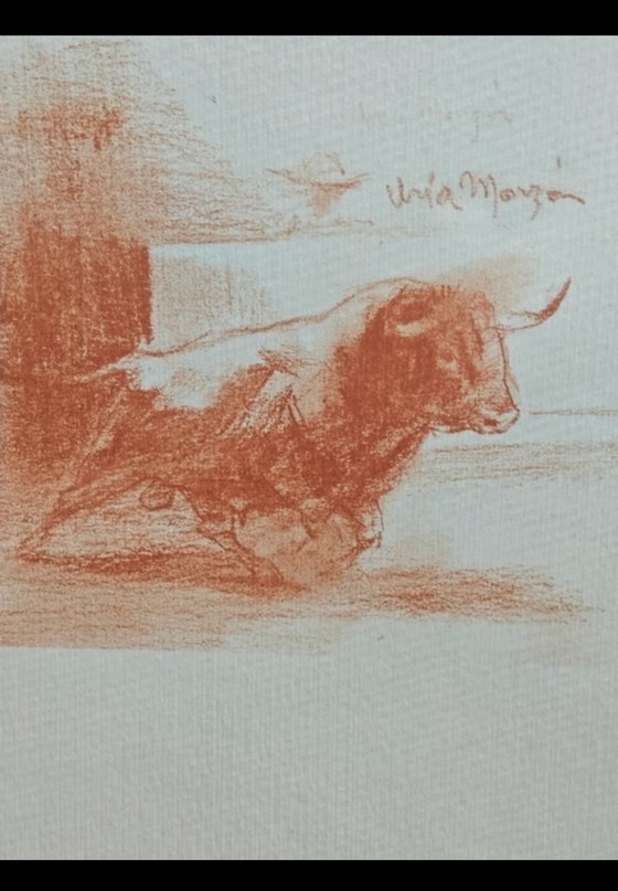 Image 1 of Sale el Toro frame, Monzón