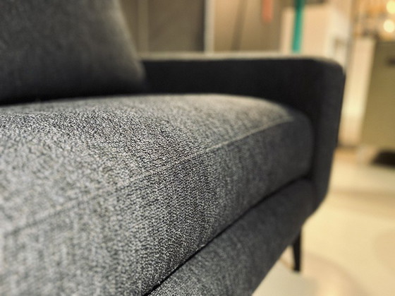 Image 1 of Fox 2,5 posti e -55%