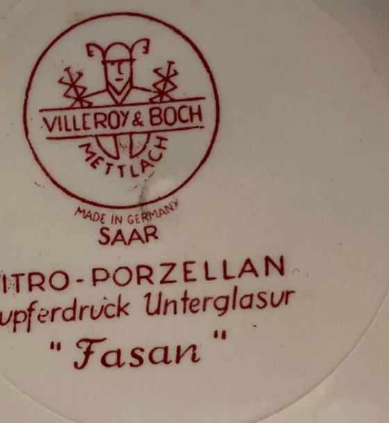 Image 1 of Duo van diepe borden / zeer grote borden Villeroy & Boch_ Fasan / Faisan _ Bleue & Brique