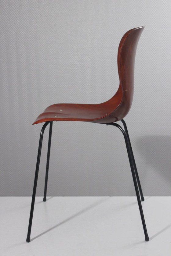 Image 1 of Pagholz & Elmar Flötotto - Model 1507 chair circa 1960