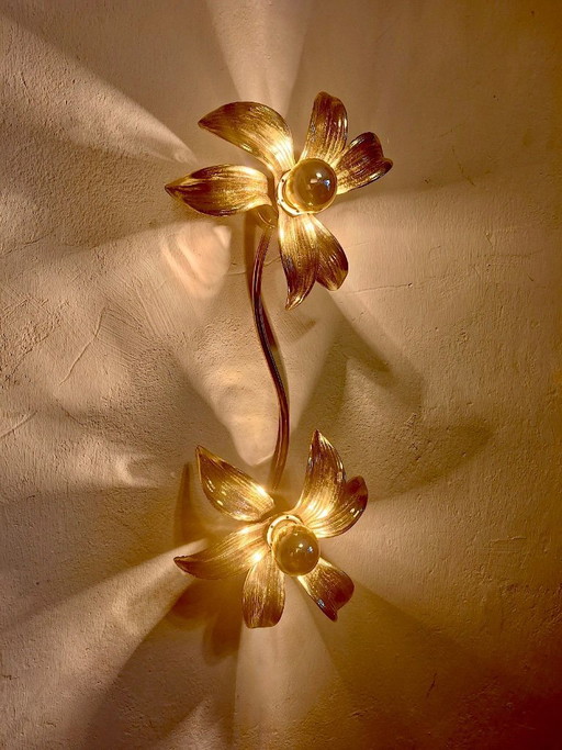 Brass Organically Shaped Double Wall or Ceiling Lights, 1970s