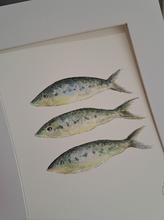 Image 1 of Aquarelle originale représentant trois sardines | Cadre inclus