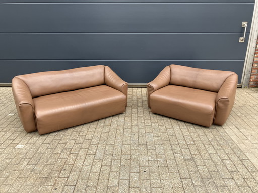 De Sede DS-47, 5mm Neck Buffalo Leather ZGAN, 2 et 3 Seats
