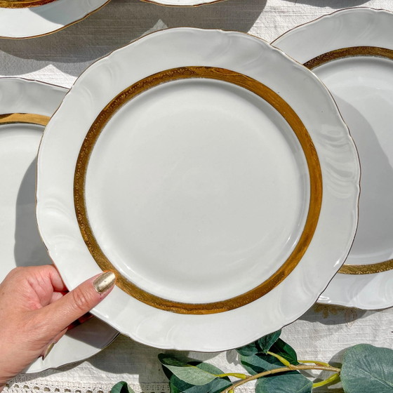 6 Vintage White and Gilded Porcelain Dinner Plates, French Limoges ADP "Ariane" - Elegant Antique French (photo 8 of 9)