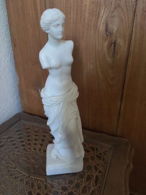 Image 1 of Venere di Milo - statua
