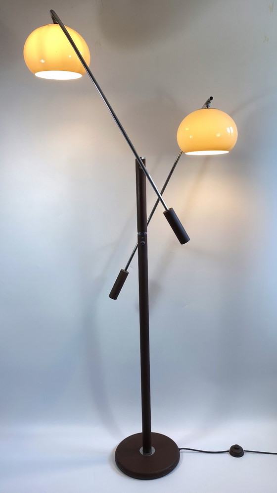 Image 1 of Dijkstra Mushroom Swing Arm Vloerlamp