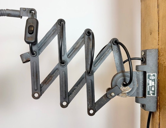 Image 1 of Grijze industriële wandlamp met flexibele arm van Elektroinstala, jaren 60.