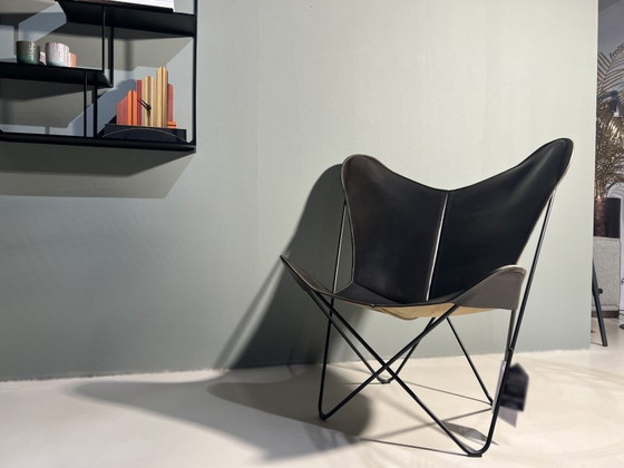 Image 1 of Papillon negro