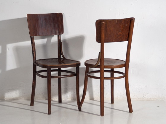 Chaises anciennes en bois courbé (c.1940). Lot de 4 pièces #5 – Chaises de salle à manger, Wood (photo 34 of 40)