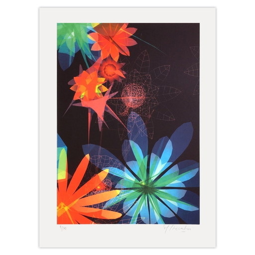 Miguel CHEVALIER Sur-Nature noire Signierte Fotolithographie 2007