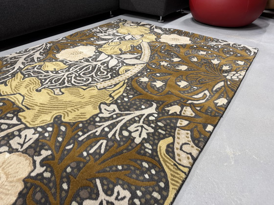 Image 1 of Alfombra Brink en Campman Seaweed 06 170x240