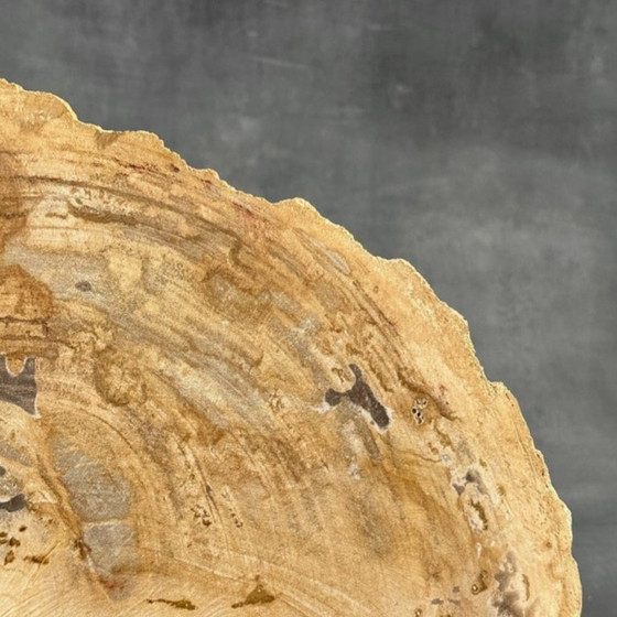 Image 1 of Madera fosilizada de Sooka, soporte hecho a medida (nuevo)