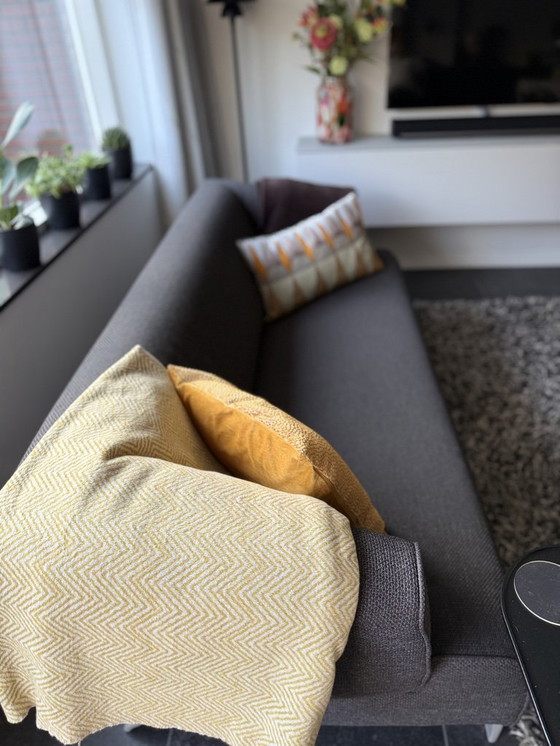 Image 1 of Sofá de 2,5 plazas de Leolux 2 times, marrón jaspeado, sin cojines ni cuadros