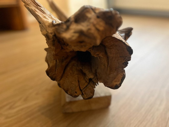 * Uniek Stuk Driftwood, Drijfhout, Teak Wortel Haai – Decoratieve objecten (photo 6 of 9)