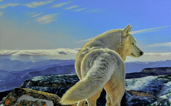 Original Oil Painting Animal Northern Wolf Breath of the Mountains – Paintings & Drawings, Canvas (photo 2 of 6)