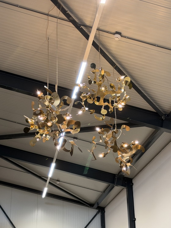 Brand van Egmond Kelp Scultura di Luce Lampada di Design – Lampade a sospensione, Altro (photo 5 of 5)