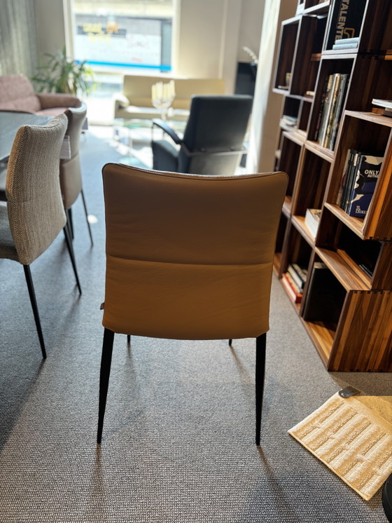 Image 1 of 6x Esszimmerstuhl Ascot von Brand Jori