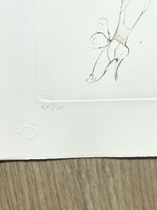 Leonor Fini, Zeldzame litho op Arches papier, Circa 1980