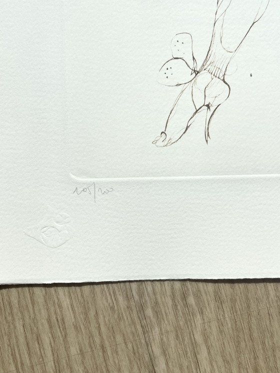 Image 1 of Leonor Fini, Litografía poco común sobre papel Arches, alrededor de 1980