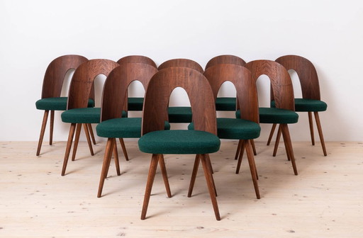 Set of 10 Mid Century Dining Chairs by A. Šuman, 1960s, Customizable Upholstery Available
