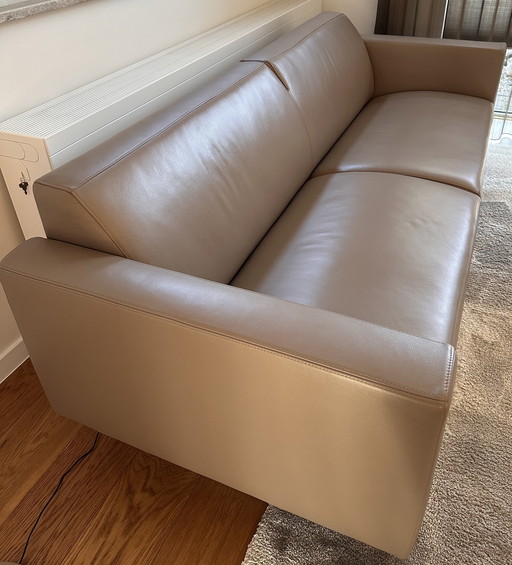 Artifort Mare 2,5 zits leer FC306