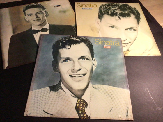 Image 1 of veranda foto / 3 platenhoezen/ koffietafelboek van Frank Sinatra