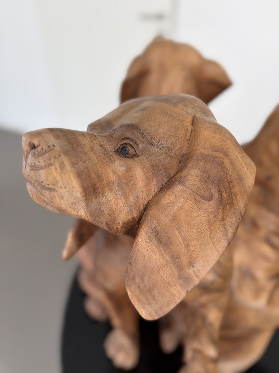 Image 1 of Hundegruppe