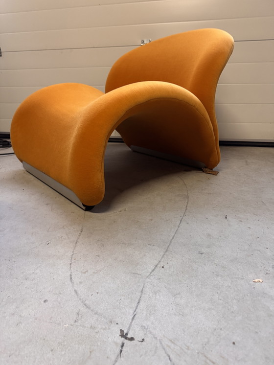 Image 1 of Schitterende Le Chat fauteuil van Pierre Paulin