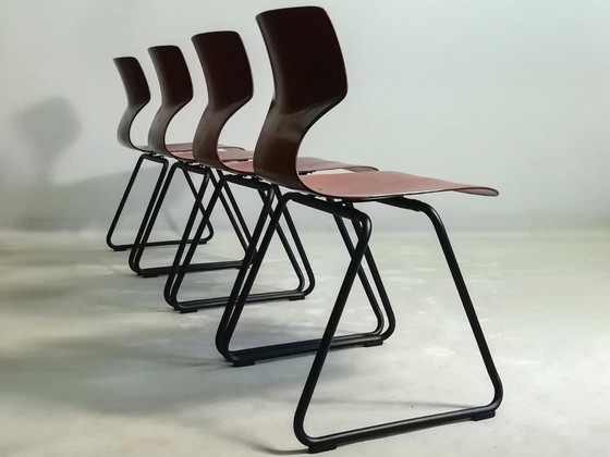 Image 1 of 4x sedia laterale FLÖTOTTO PAGWOOD set di sedie anni '70 nere VINTAGE design industriale seduta modellata