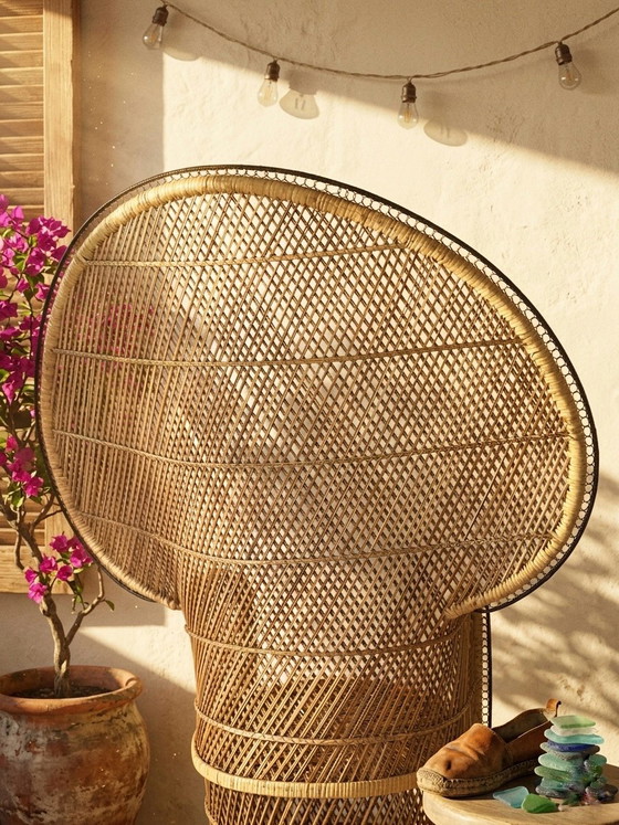 Image 1 of Rotan pauwstoel