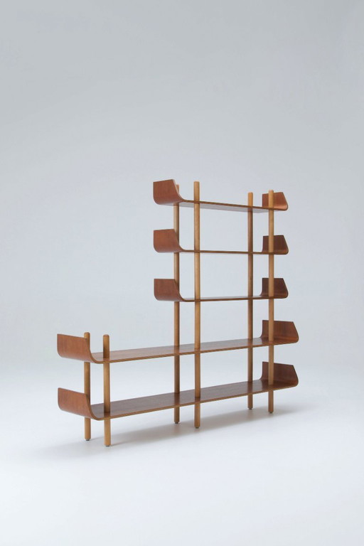 1950's Bookcase in Teak Plywood & Birch - Wilhelm Lutjens