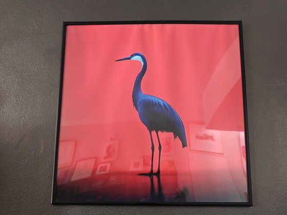 Photographies Eric Lespinasse – Glass, Metal (photo 4 of 8)