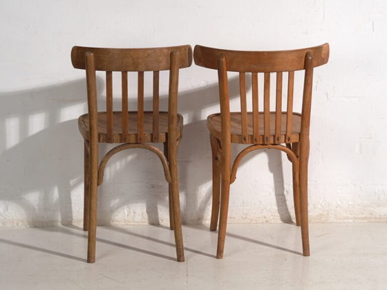 Pair of Thonet style bentwood chairs with low back – Central Europe, circa 1920 – Dining chairs (photo 33 of 40)