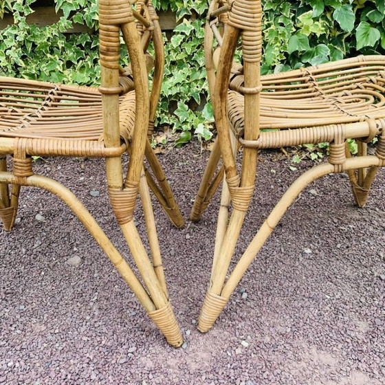Image 1 of Paar rotan stoelen van Van Rohe