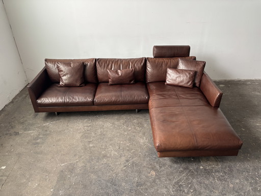 Montis Axel Designersofa Couch Leder Kastanie 