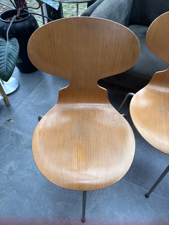 Image 1 of Set of 4 Fritz Hansen 3-legged vintage Danish design dining chairs