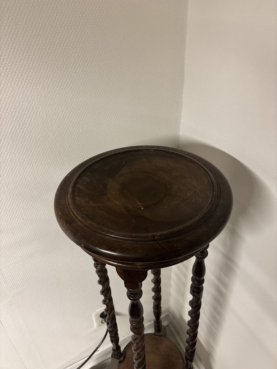 Image 1 of Vintage plantentafel