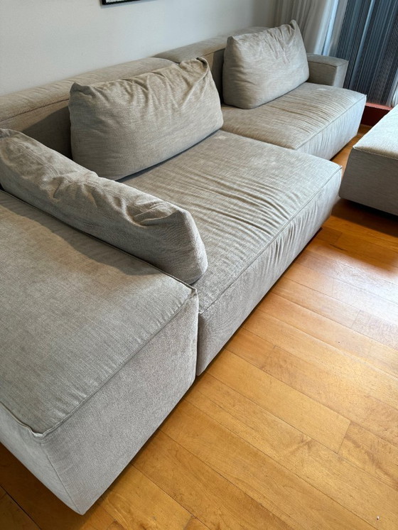 Image 1 of Mountain Lord 18