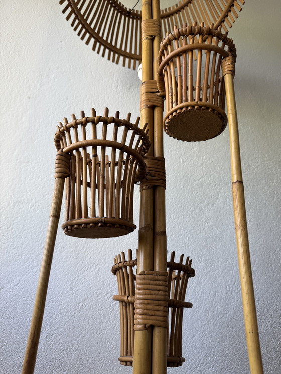 Image 1 of Lámpara de pie con soporte para plantas de ratán de los años 50