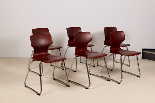6x Pagholz Flötotto Stoelen