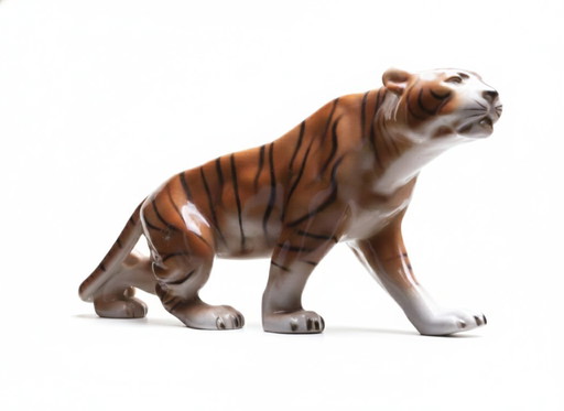 Tigre, duc royal, années 1960, Tchécoslovaquie