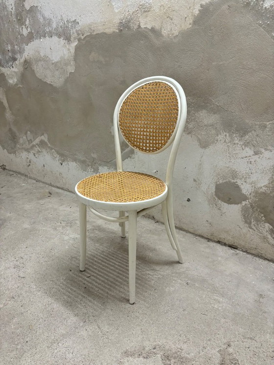 Image 1 of Thonet ZPM Radomsko Stuhl Kaffeehaus