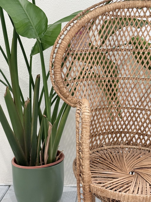 Rotan pauwenstoel voor kind