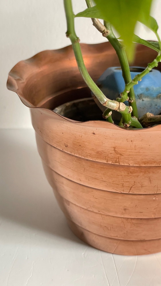 Image 1 of Mur de Barrez" planter France 1960s