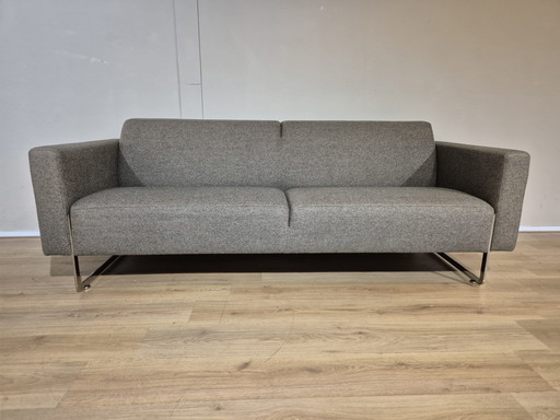 Artifort Mare - 2,5 Sitzer - Braun - Wollstoff - René Holten