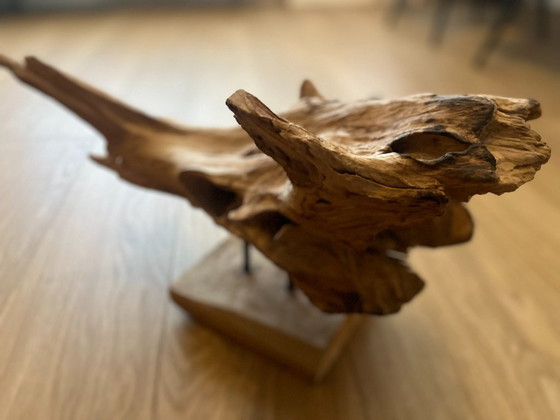 * Uniek Stuk Driftwood, Drijfhout, Teak Wortel Haai – Decoratieve objecten (photo 5 of 9)