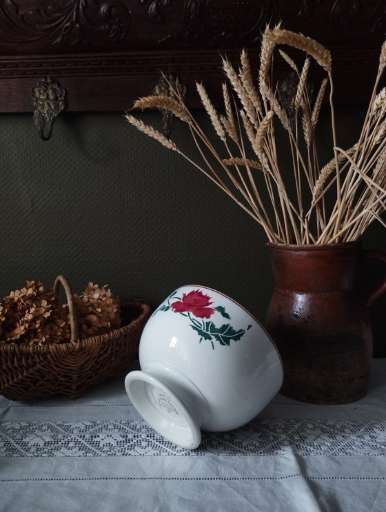 Image 1 of Cuenco XL o ensaladera pequeña HBCM "Luxeuil"