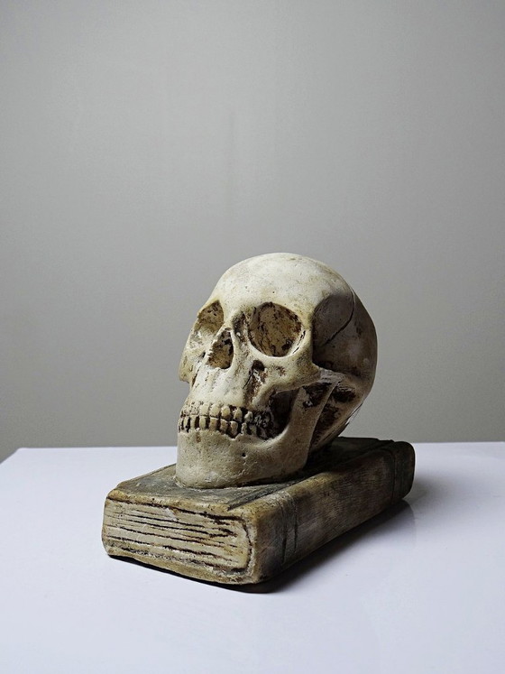 Image 1 of Ancien Memento Mori en plâtre, crâne sur livre, curiosité fin XIXe début XXe
