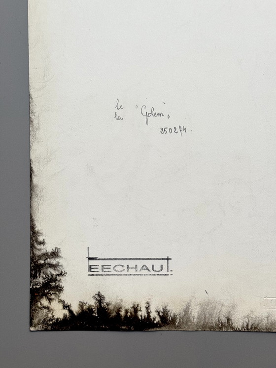 Image 1 of Eugène Eechaut (1928-2019) - Le/La « Golem » 1974