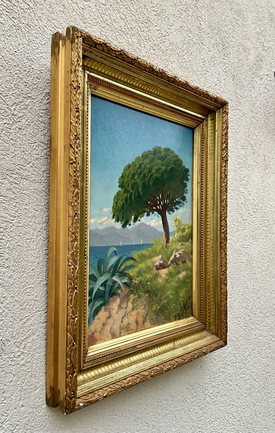 Antico Dipinto a Olio Cannes La Bocca 1909 – Tom Evans – Dipinti e disegni, Legno, Altro (photo 7 of 10)